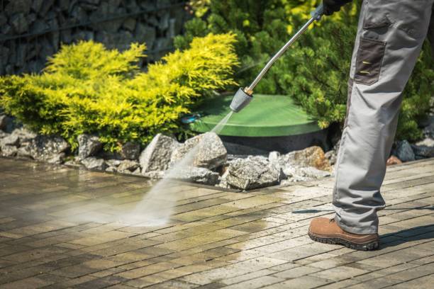 Best Oil Spill Cleanup  in South Daytona, FL